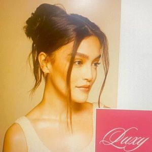 Luxy dark brown clip in bun